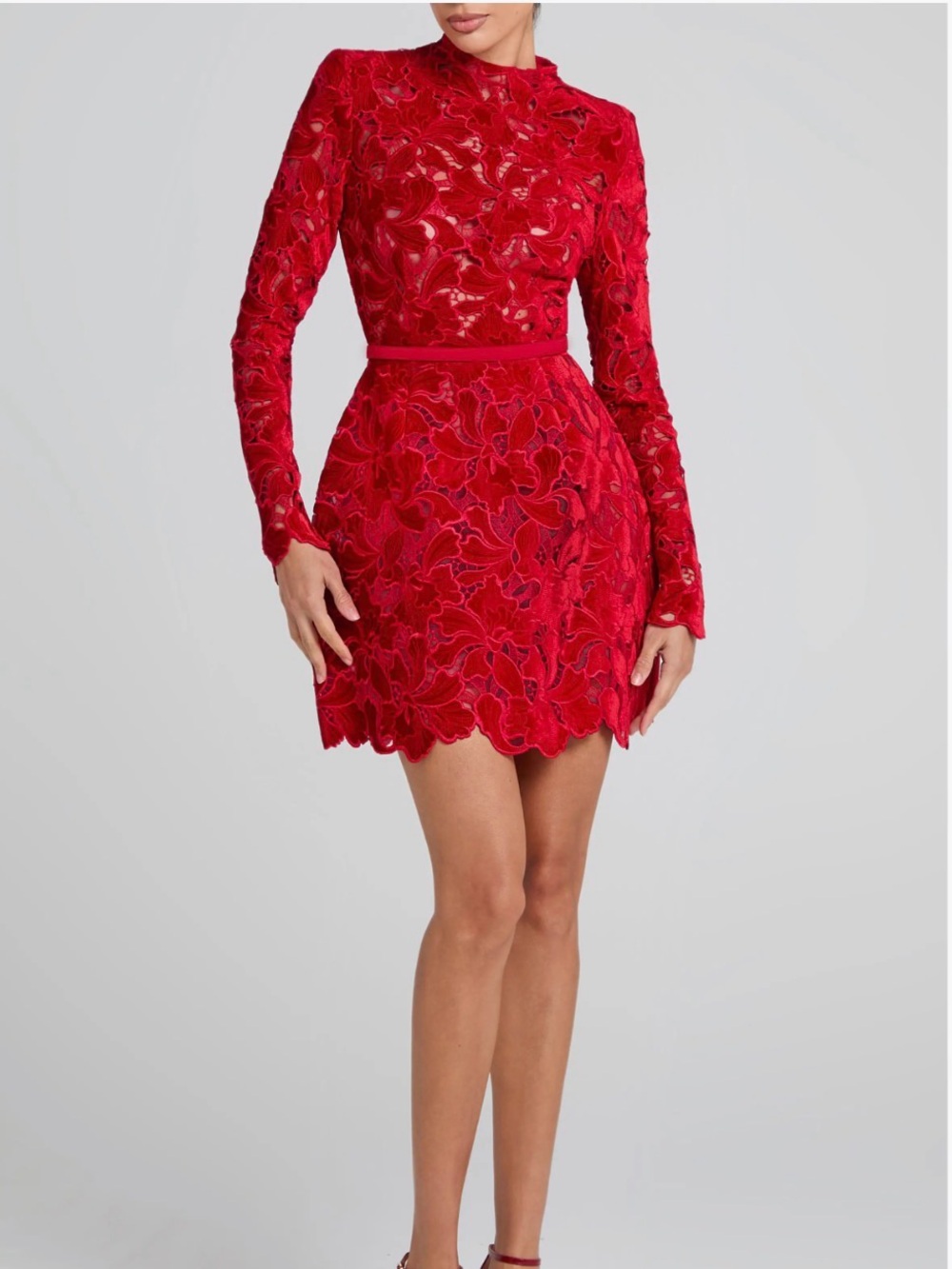 Nadine Merabi Lydia Lace Long Sleeve Minidress